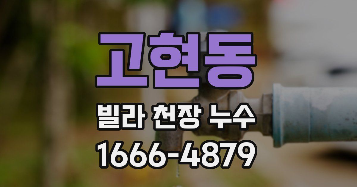 고현동 빌라 천장 누수