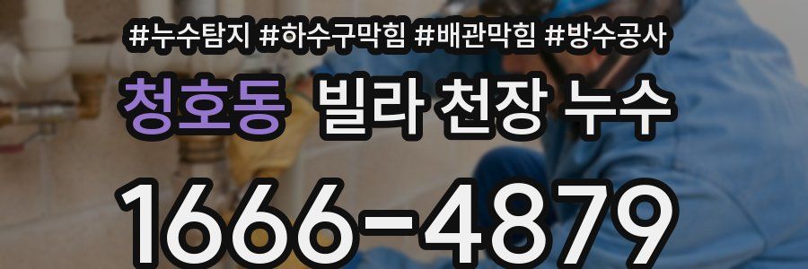 청호동 빌라 천장 누수