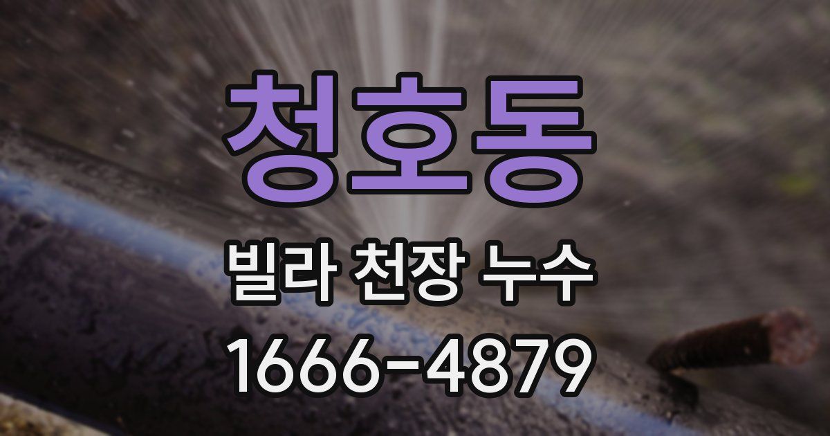 청호동 빌라 천장 누수