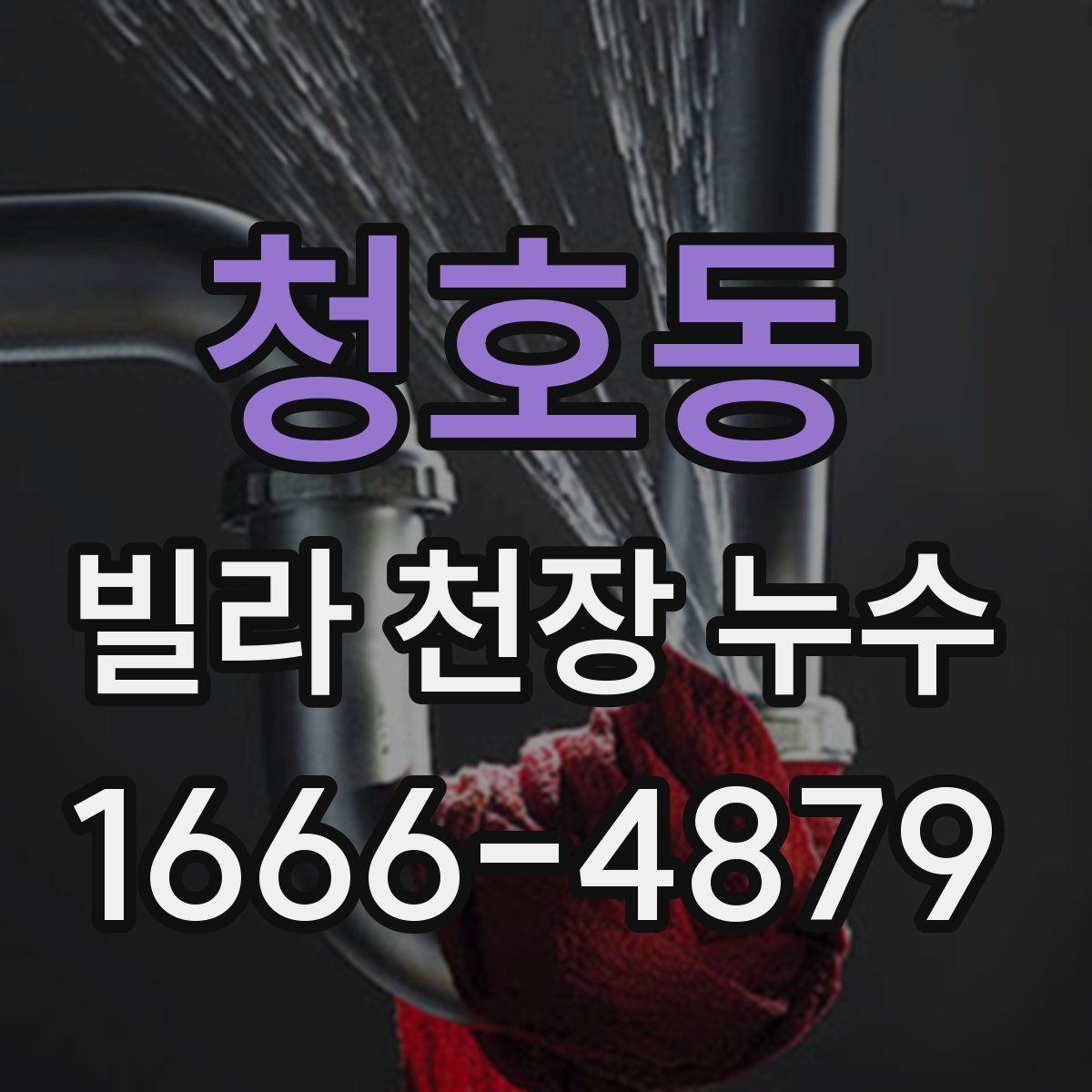 청호동 빌라 천장 누수
