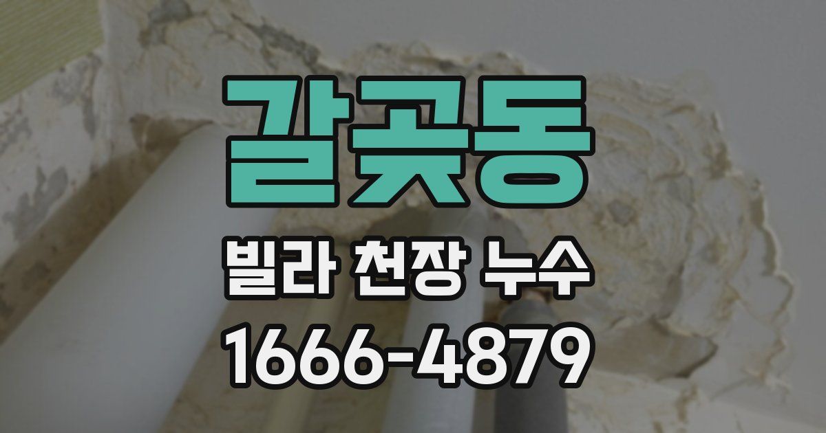갈곶동 빌라 천장 누수