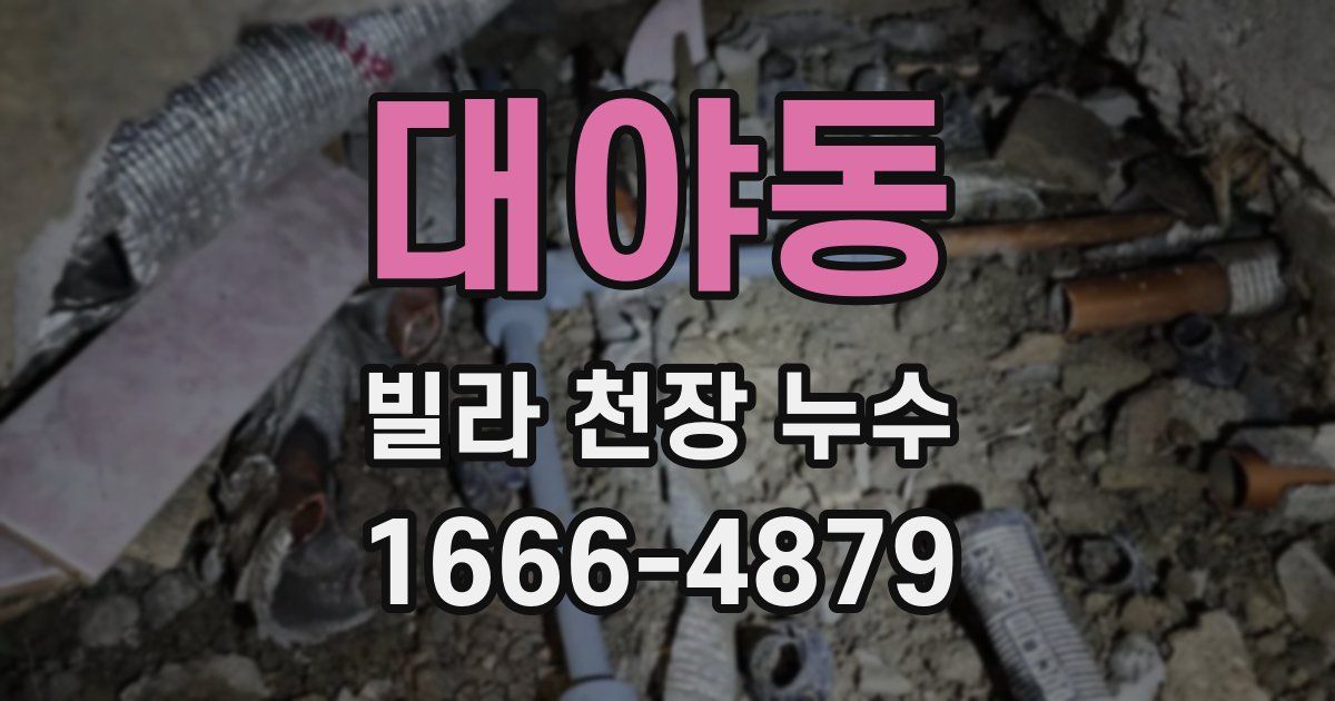 대야동 빌라 천장 누수