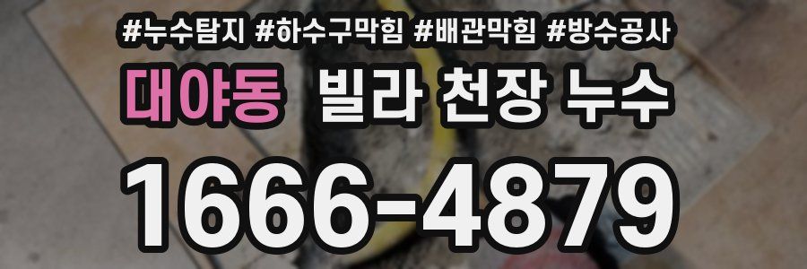 대야동 빌라 천장 누수