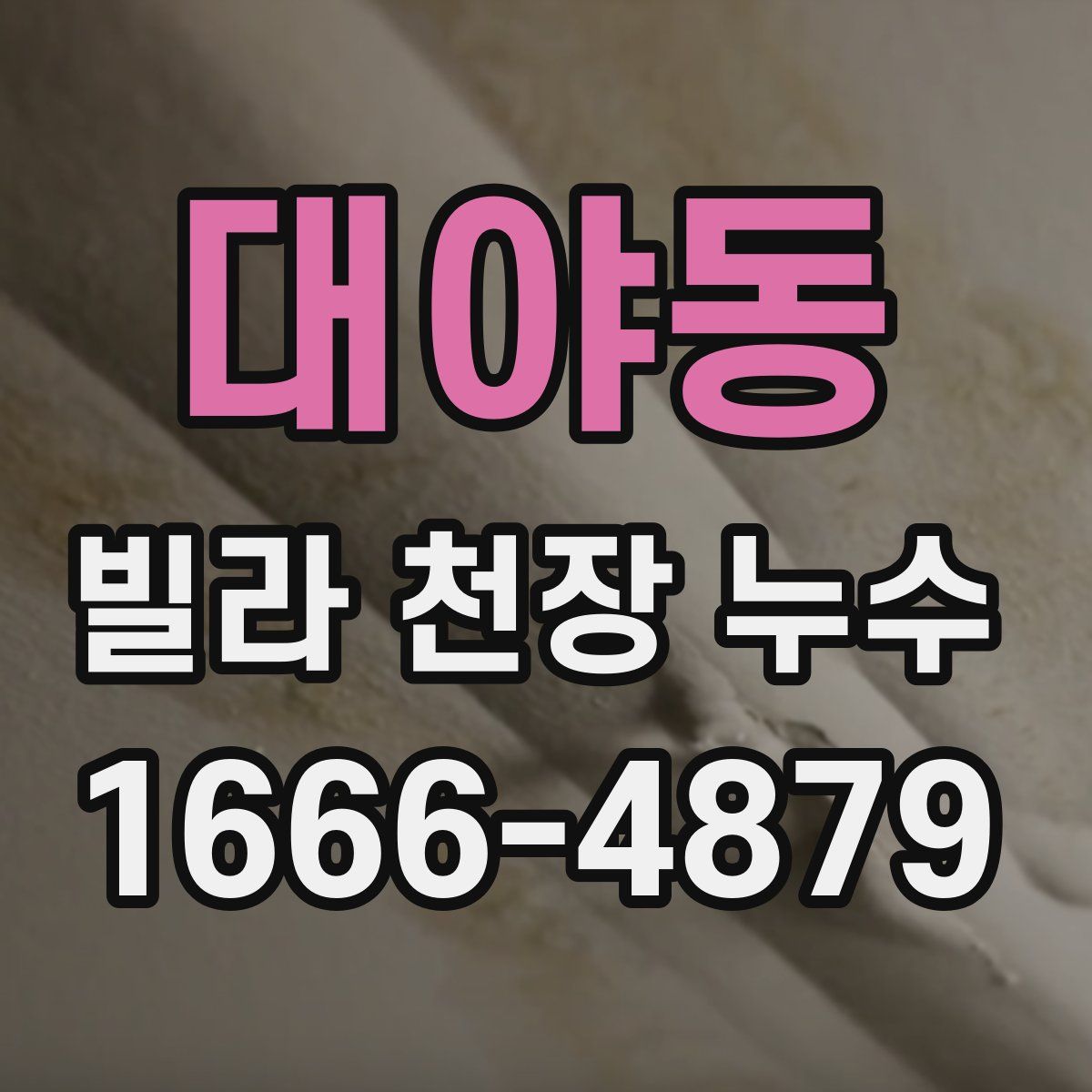 대야동 빌라 천장 누수