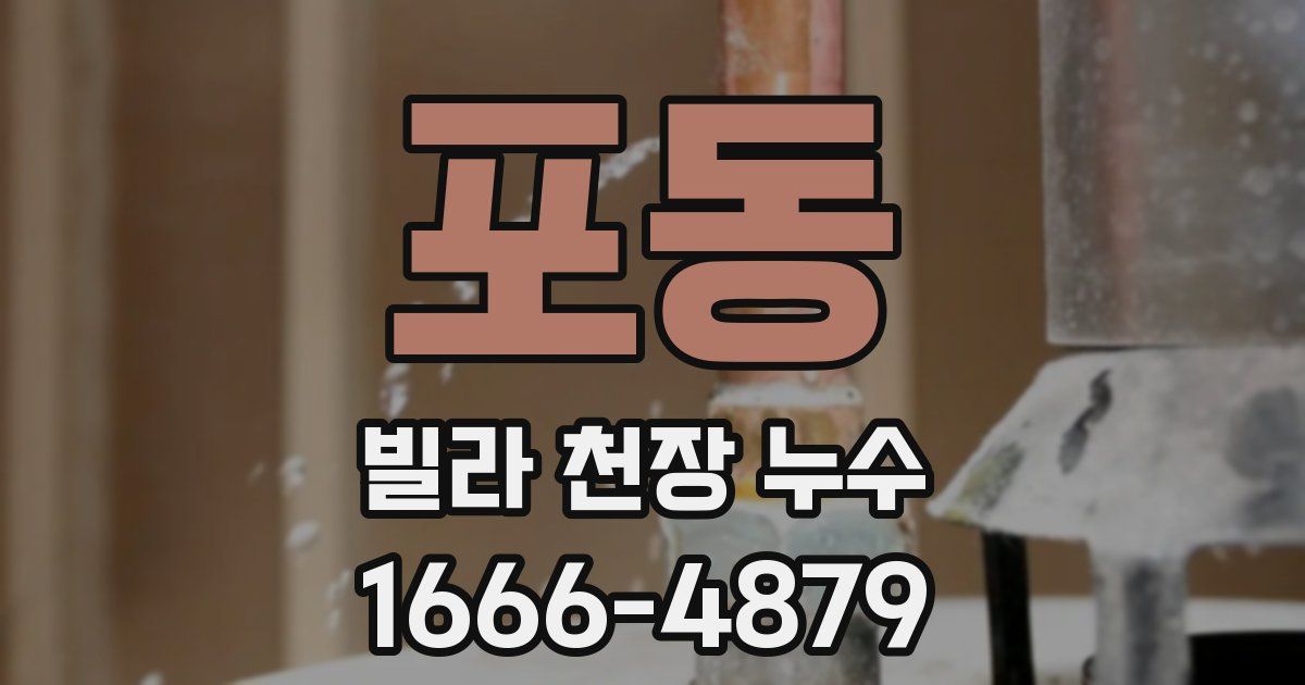포동 빌라 천장 누수