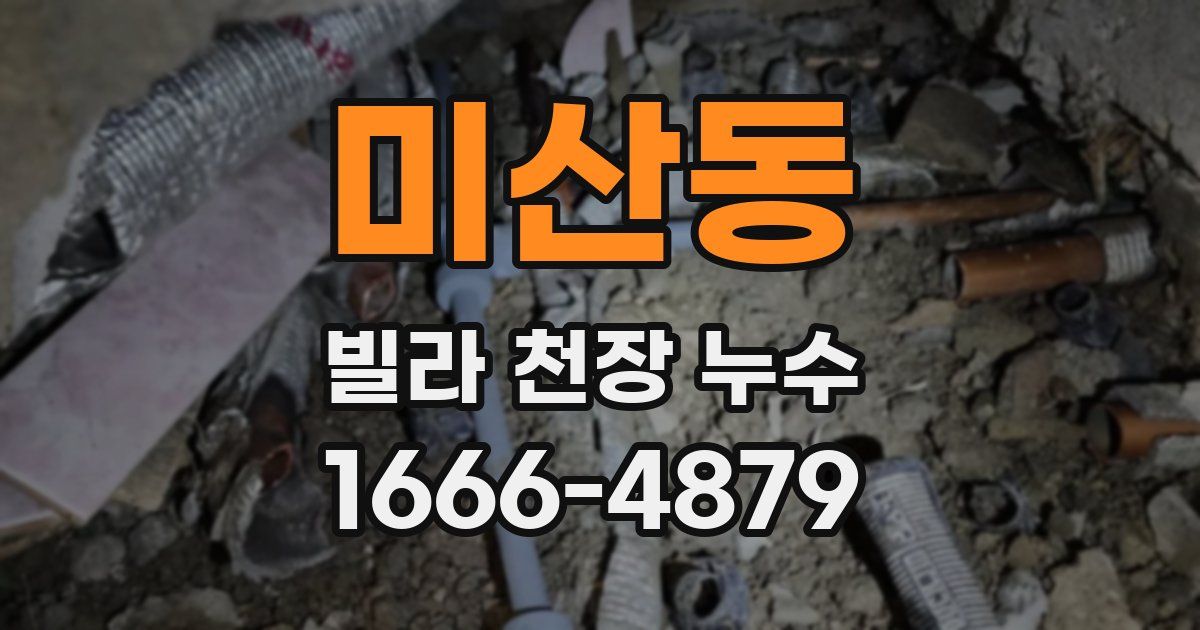 미산동 빌라 천장 누수