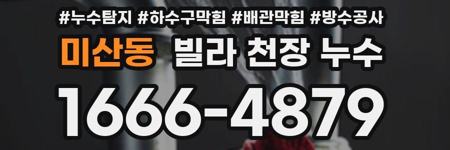 미산동 빌라 천장 누수