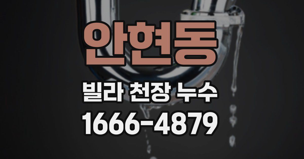 안현동 빌라 천장 누수
