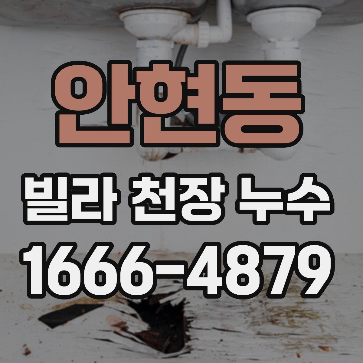 안현동 빌라 천장 누수