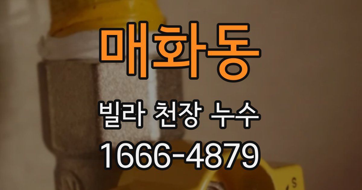 매화동 빌라 천장 누수