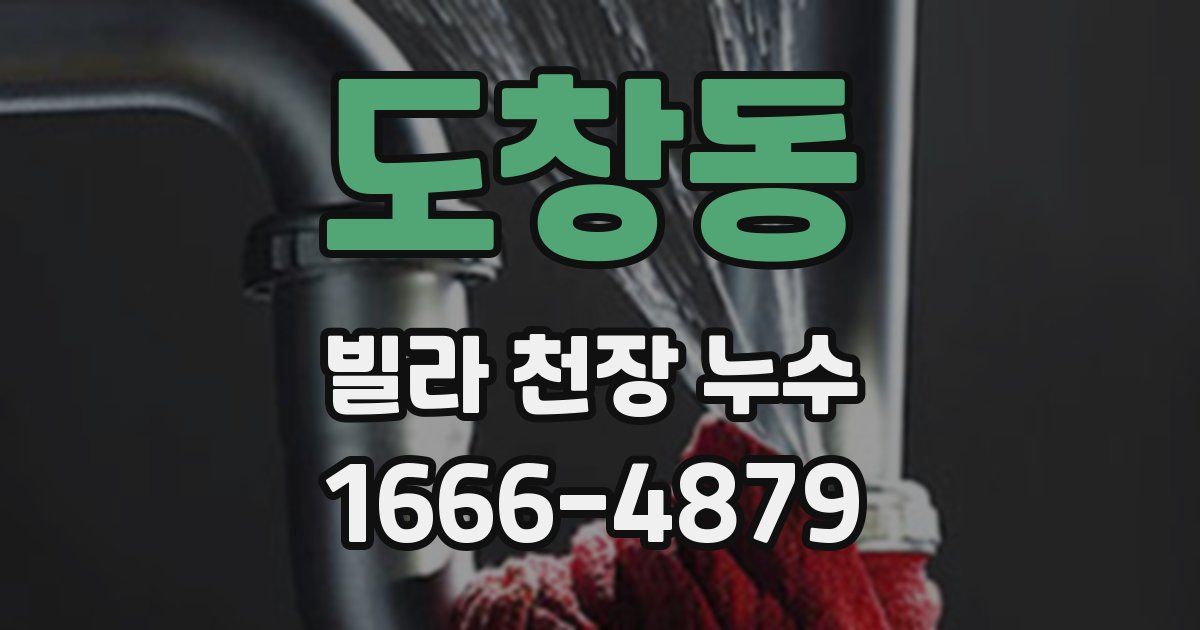 도창동 빌라 천장 누수