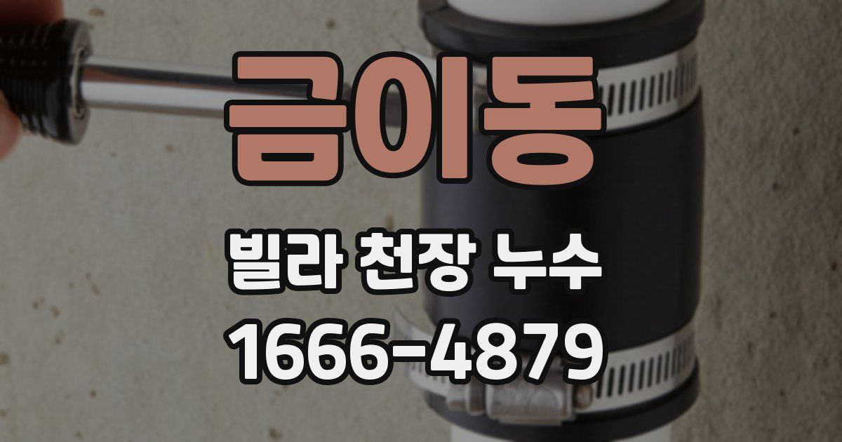 금이동 빌라 천장 누수