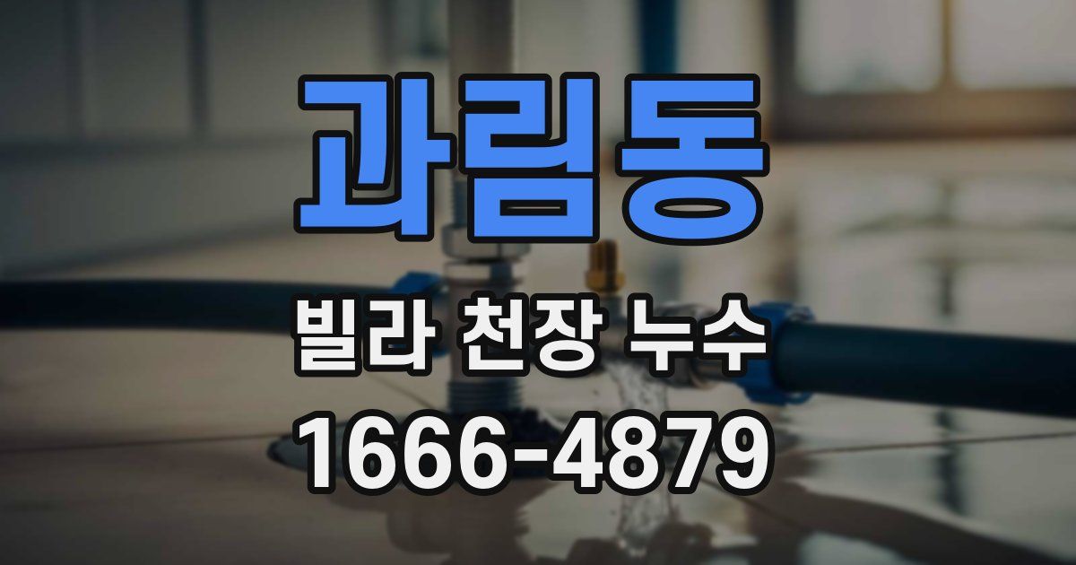 과림동 빌라 천장 누수