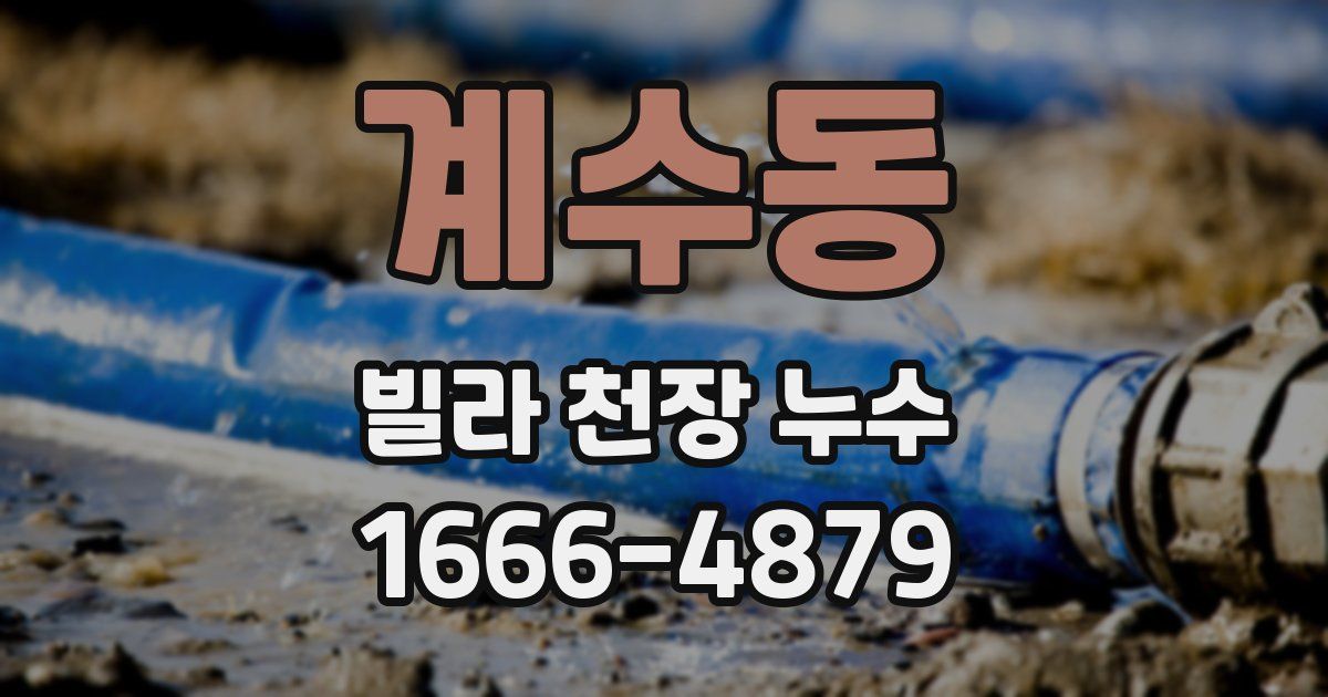 계수동 빌라 천장 누수