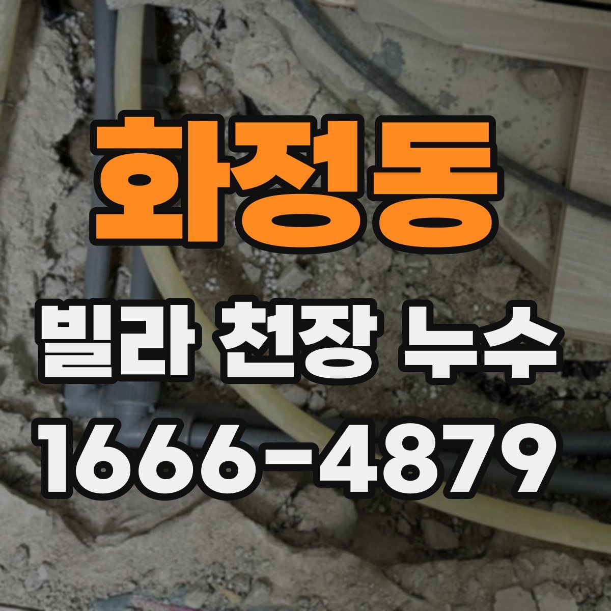 화정동 빌라 천장 누수
