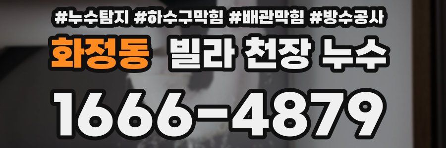 화정동 빌라 천장 누수