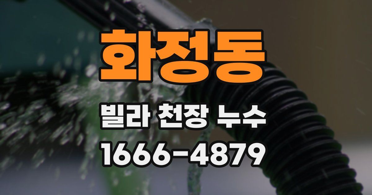 화정동 빌라 천장 누수