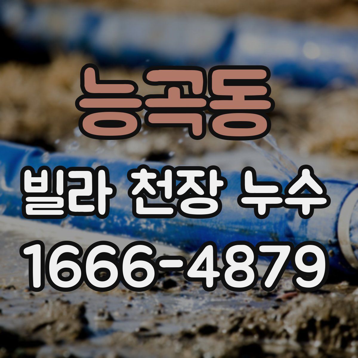 능곡동 빌라 천장 누수