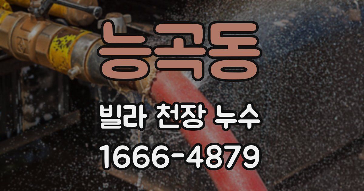 능곡동 빌라 천장 누수
