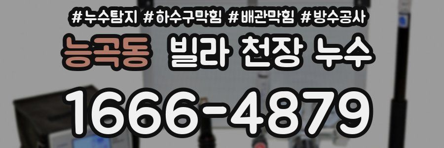 능곡동 빌라 천장 누수