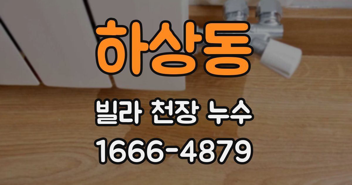 하상동 빌라 천장 누수
