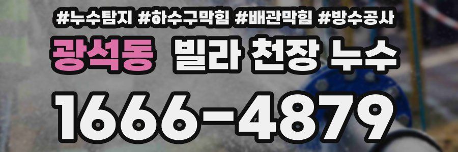 광석동 빌라 천장 누수