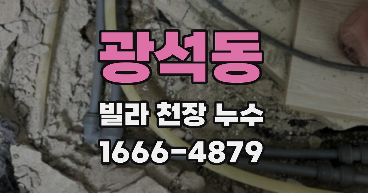 광석동 빌라 천장 누수