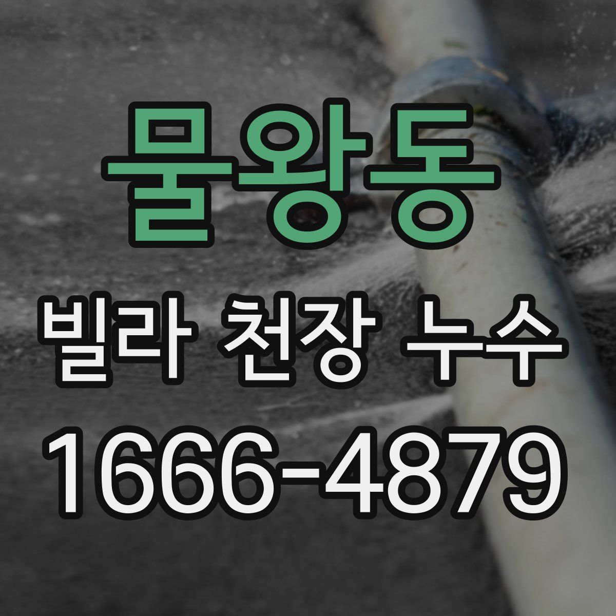 물왕동 빌라 천장 누수