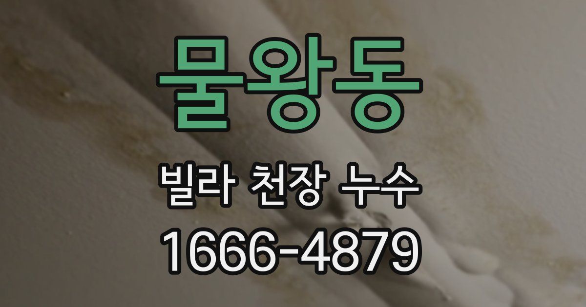 물왕동 빌라 천장 누수