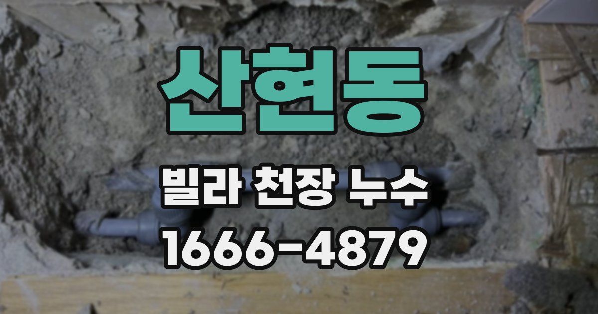 산현동 빌라 천장 누수