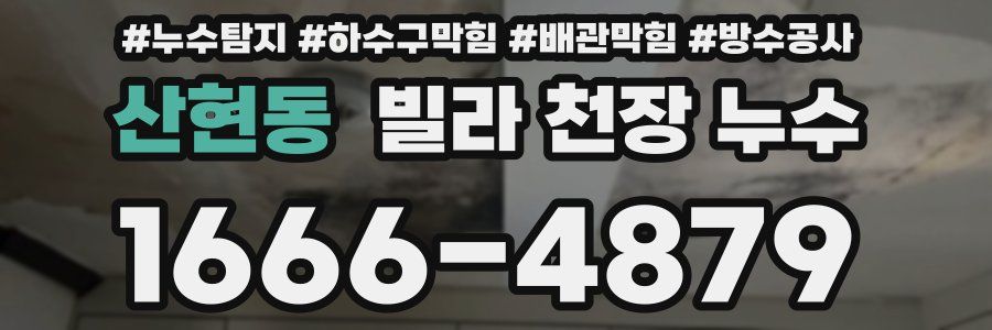 산현동 빌라 천장 누수