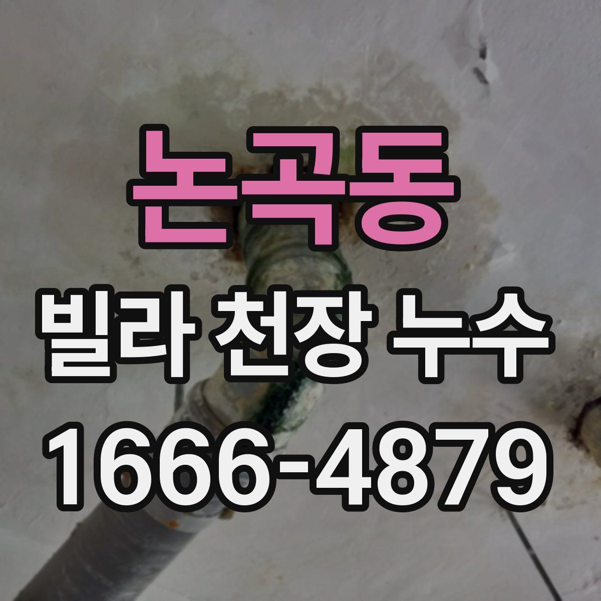 논곡동 빌라 천장 누수