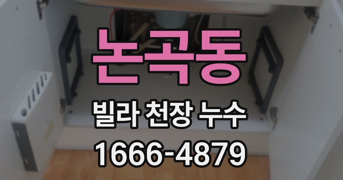 논곡동 빌라 천장 누수