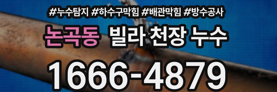 논곡동 빌라 천장 누수