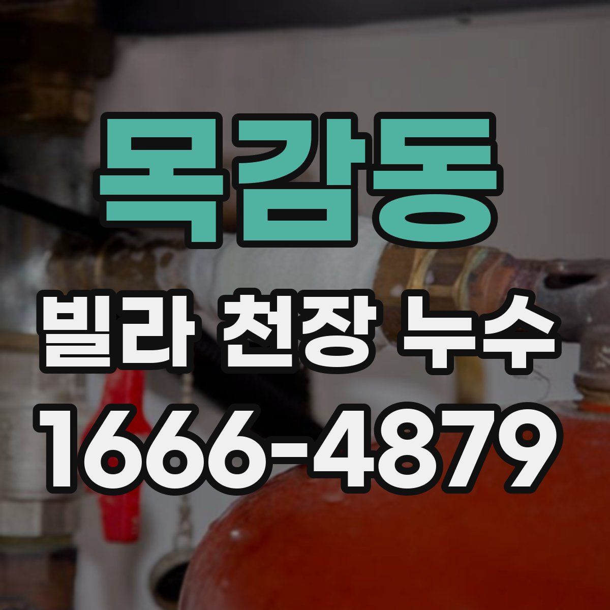 목감동 빌라 천장 누수