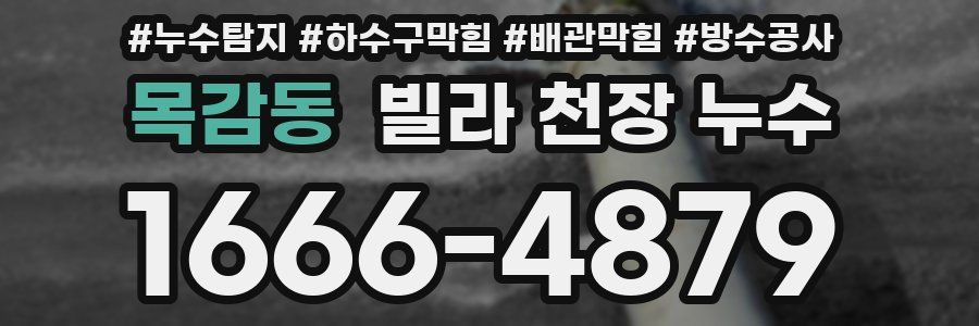 목감동 빌라 천장 누수