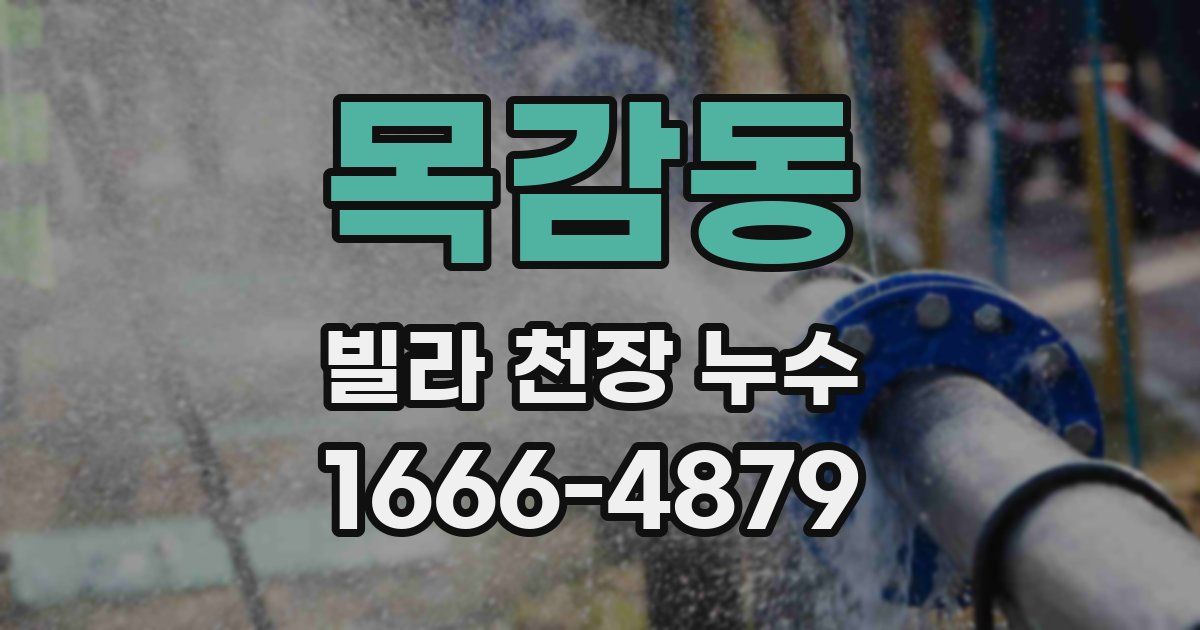 목감동 빌라 천장 누수
