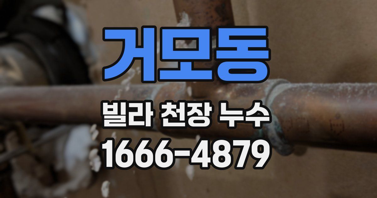 거모동 빌라 천장 누수