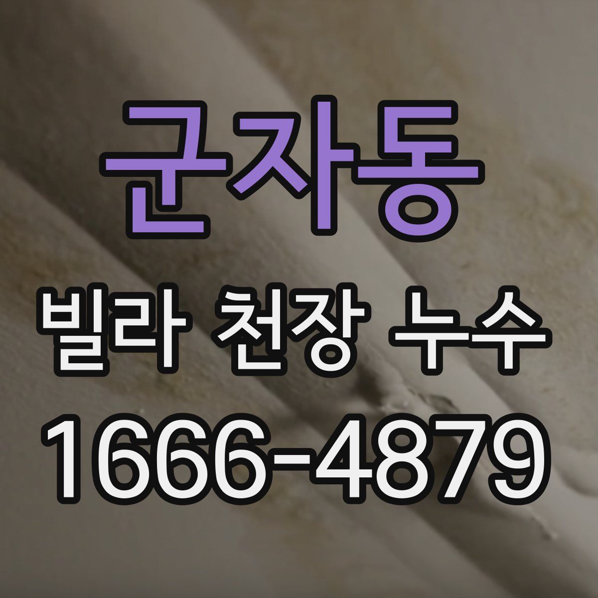 군자동 빌라 천장 누수