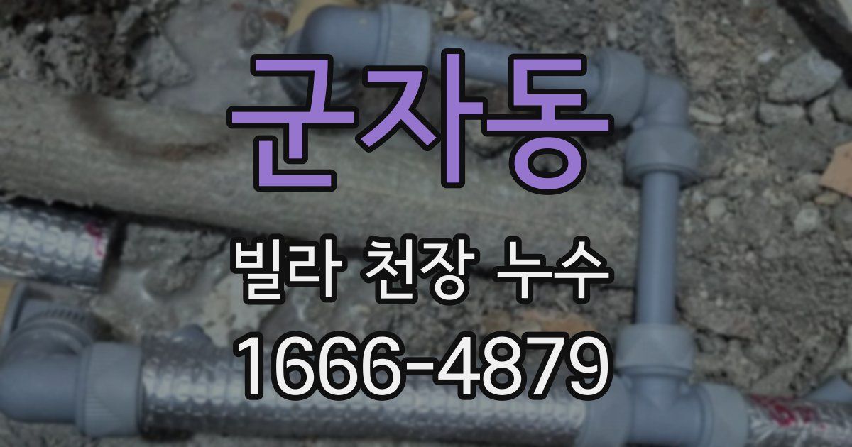 군자동 빌라 천장 누수