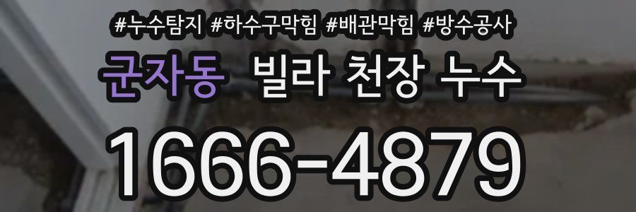 군자동 빌라 천장 누수
