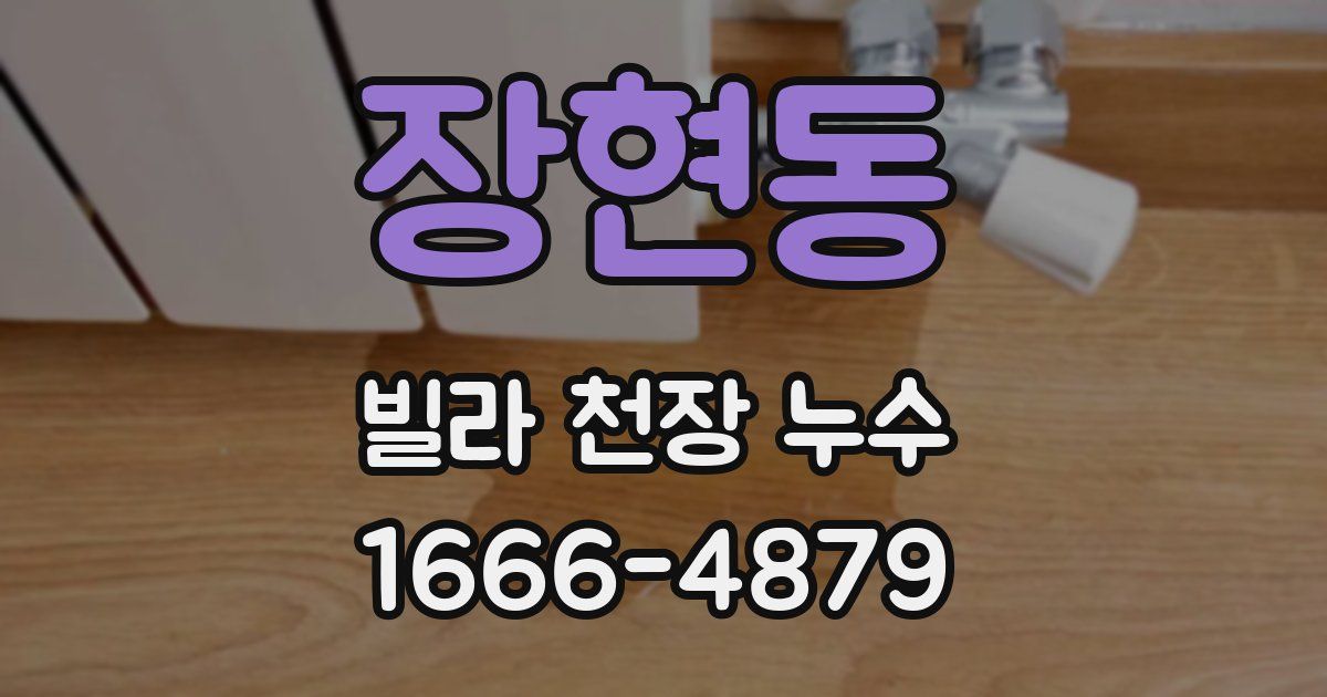 장현동 빌라 천장 누수