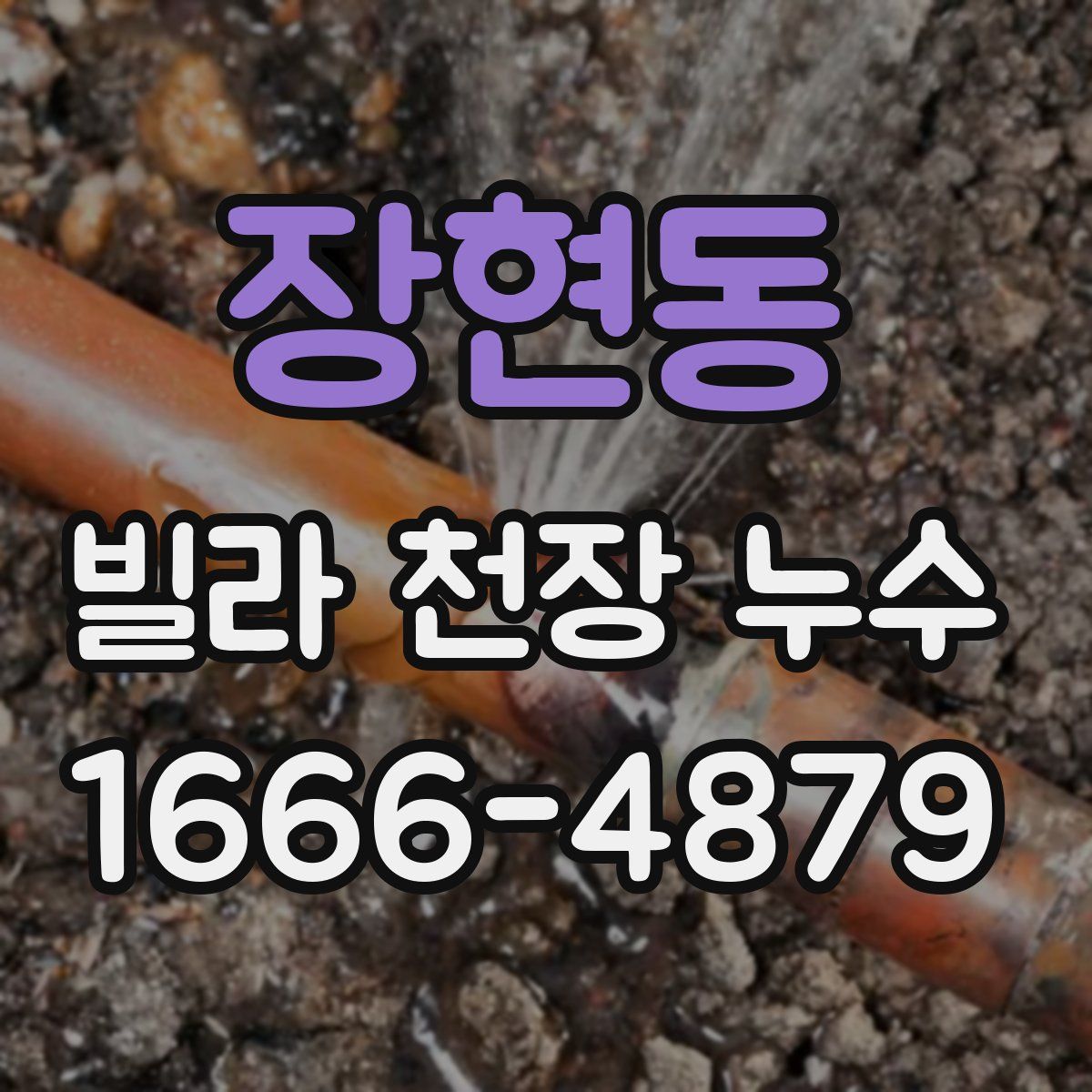 장현동 빌라 천장 누수