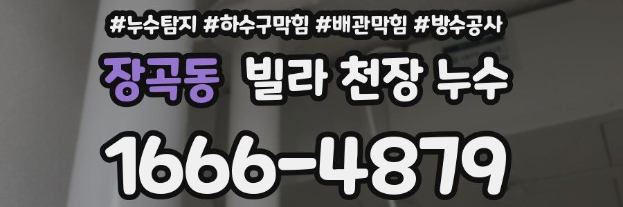 장곡동 빌라 천장 누수