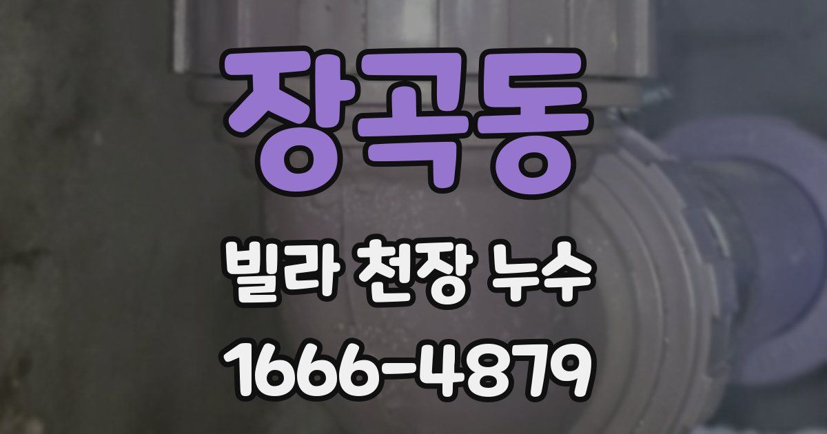 장곡동 빌라 천장 누수