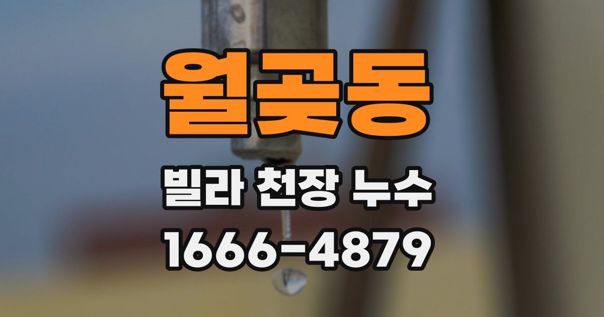 월곶동 빌라 천장 누수