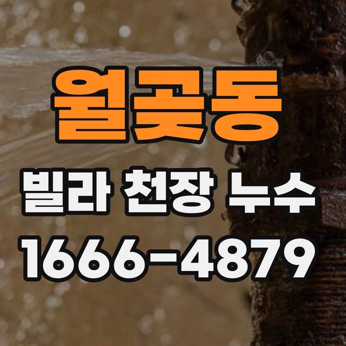 월곶동 빌라 천장 누수