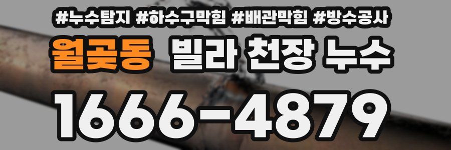월곶동 빌라 천장 누수