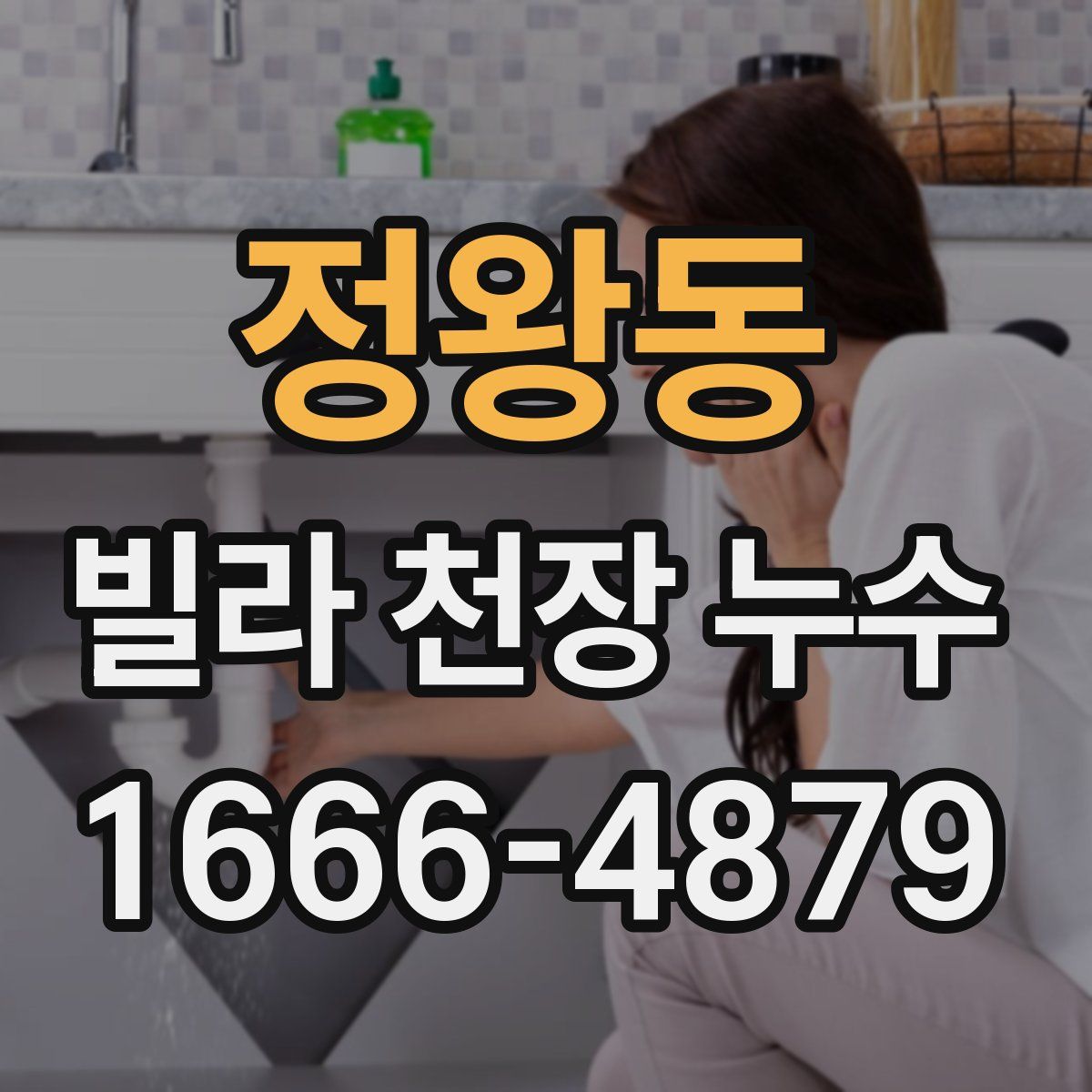 정왕동 빌라 천장 누수