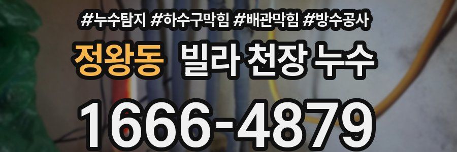 정왕동 빌라 천장 누수